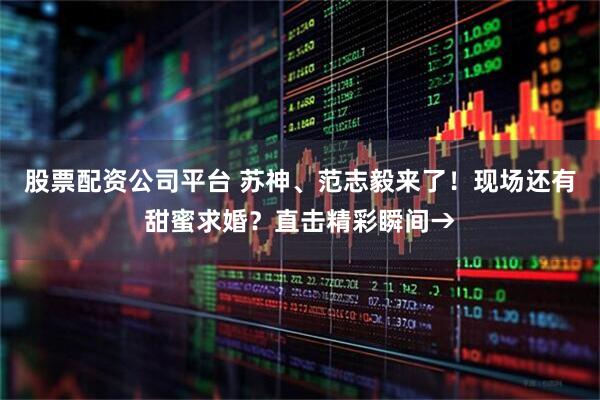 股票配资公司平台 苏神、范志毅来了！现场还有甜蜜求婚？直击精彩瞬间→