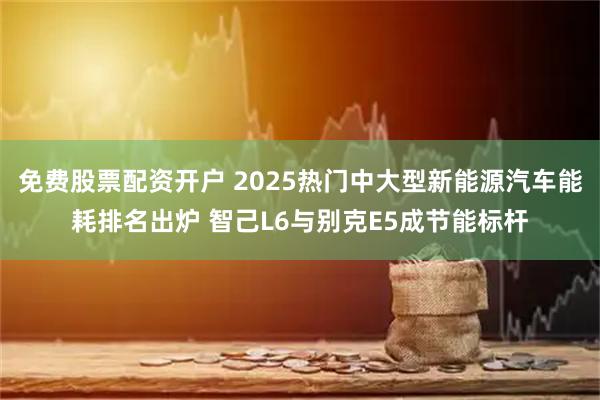 免费股票配资开户 2025热门中大型新能源汽车能耗排名出炉 智己L6与别克E5成节能标杆