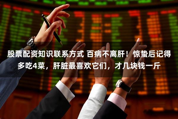股票配资知识联系方式 百病不离肝！惊蛰后记得多吃4菜，肝脏最喜欢它们，才几块钱一斤