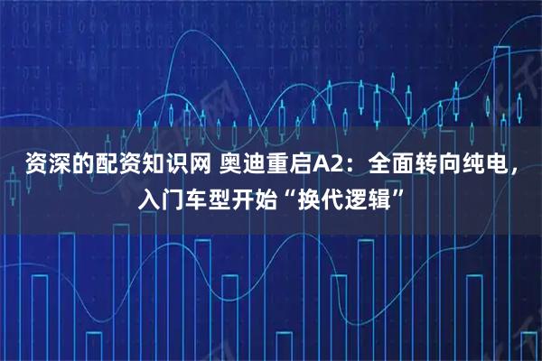 资深的配资知识网 奥迪重启A2：全面转向纯电，入门车型开始“换代逻辑”